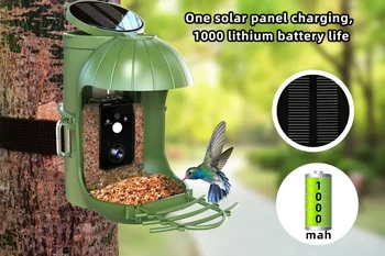 Zunanji Nepremočljiva Smart Video Podajalnik Ptic Fotoaparat 1080P HD Wildlife Gazebo Hranjenje Blaga Ptica Dodatki s solarnimi 5